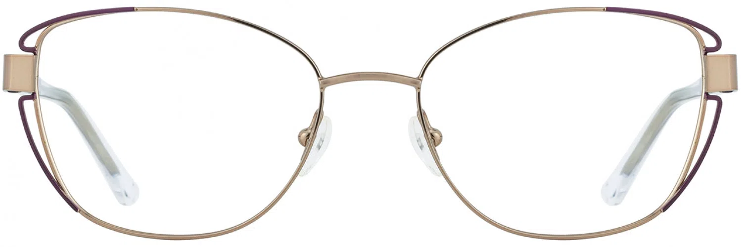 Cote DAzur CDA311 Eyeglasses - view 16